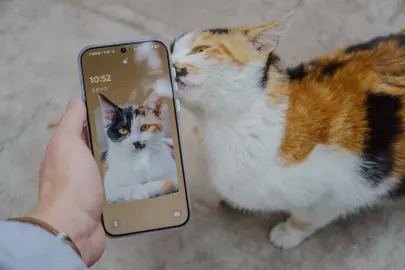 BetCart Kaszinó Mobilalkalmazás